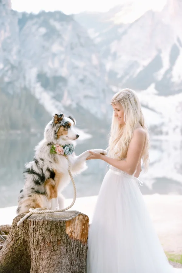 Wedding gallery pictures